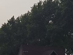 -人民防洪胜利纪念塔