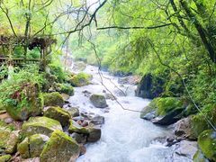-青城山