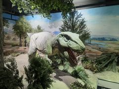 -国家自然博物馆