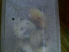 -小杨生煎(成山巴黎春天店)