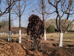 -永定河休闲森林公园