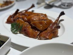 -圆苑(金茂店)