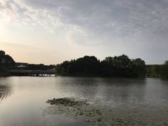 -新江湾城公园