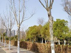 -滨湖塘西河公园