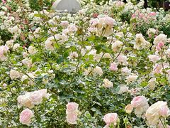 -人民公园(罗湖区)