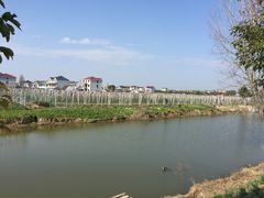 -南汇老顾农家乐采摘大团水蜜桃采摘店