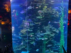 -泉城欧乐堡海洋极地世界