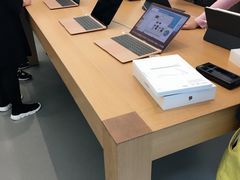 -Apple 零售店(Canton Road)