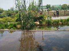 -万景饭店·鱼街农家菜