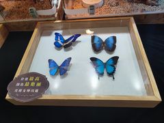 -昆百大泰业城