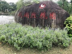 -鹅湖玫瑰文化园