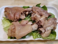 -丁老爷子苏香圆