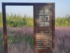 -嘉北郊野公园
