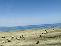 -青海湖国家重点风景名胜区