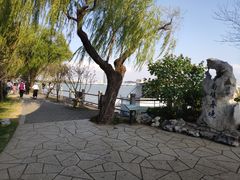 -无锡蠡湖国家湿地公园-蠡园