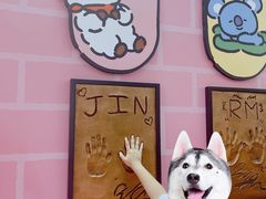 -line friends(明洞旗舰店)