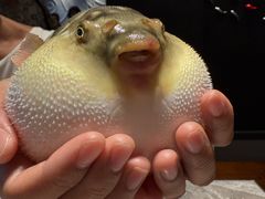 -永安鱼庄·镇江菜(东吴路店)