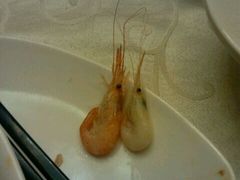 -阿英煲(凉城路店)