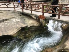 -山西壶关太行山大峡谷旅游景区