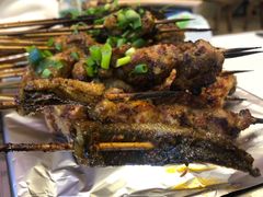 鳝鱼-晓靖轩烧烤(沙河风情店)