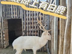 -白鹿原影视城