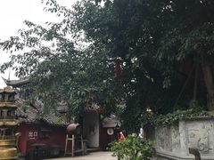 -黄龙溪古镇-古龙寺