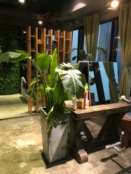 -V-STAR威斯达•高级私人定制