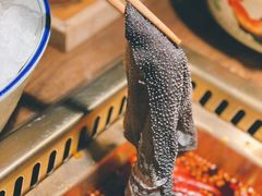 -九鼎轩脆毛肚火锅(三钢里店)
