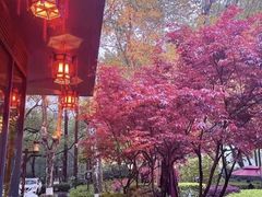 -湖滨客舍·湖北菜
