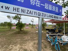 -盐城丹顶鹤湿地生态旅游区
