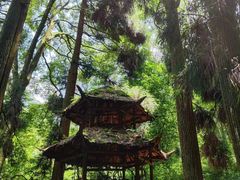 -青城山