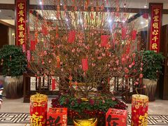 -惠州康帝国际酒店