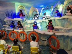 -帝企鹅自助餐厅•儿童岛•真企鹅(长隆企鹅酒店)