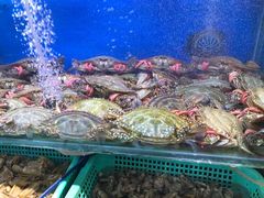 -船梆煮•蒸汽海鲜·炉火烤肉(五四广场店)