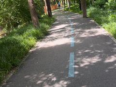 -望湖公园
