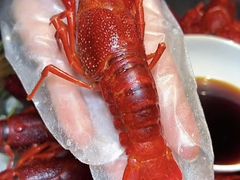 -红盔甲·小龙虾(车公庙店)