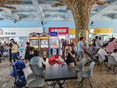 -芜湖新华联大白鲸海洋公园