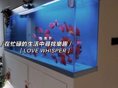 -宫七SPA·高端Massage(浦东大道店)