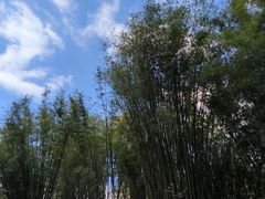 -英西峰林·洞天仙境
