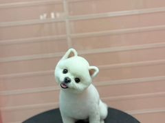 -FAELING PETS美天灵宠物(合生汇店)