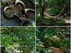 -成都市活水公园