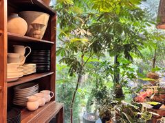 -自由生长植物工作室(深港花卉中心店)