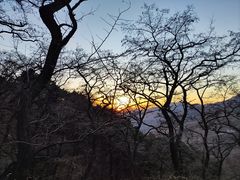 -泰山风景名胜区