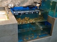 水产区-三千院·东篱(东门店)