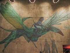 -奥兰多迪士尼动物王国乐园