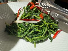 -三强鸽子(胜利路店)