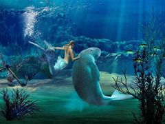 -悉尼海洋生物水族馆