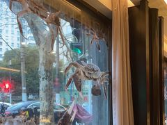 -新花城蟹粉馆(乌鲁木齐店)