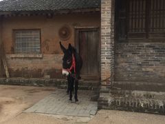 -白鹿原影视城