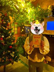 -疯狂冒险家-亲子密室-东坝店(金隅嘉品店)